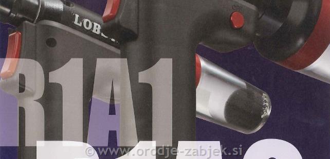 R1A1A2