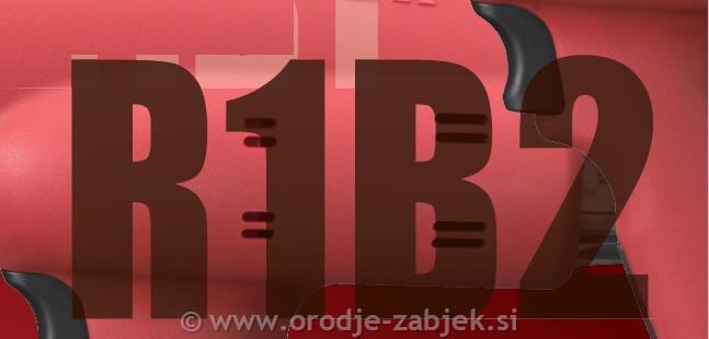 R1B1B2