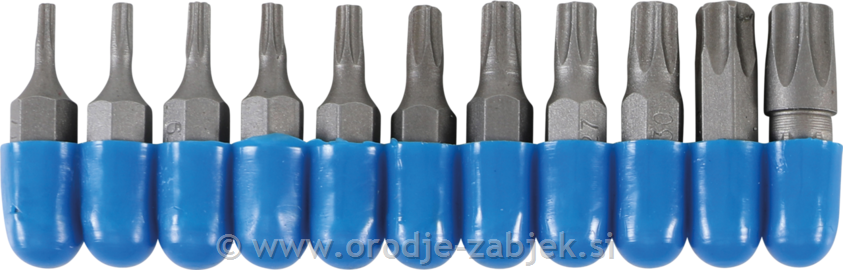 11-delni set TORX nastavkov 1/4" BGS TECHNIC