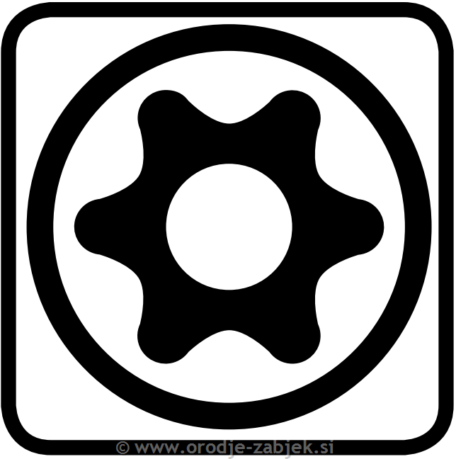 Torx z luknjo